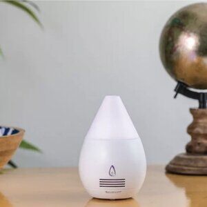 SPAROOM Mini Scentifier Fan Diffuser